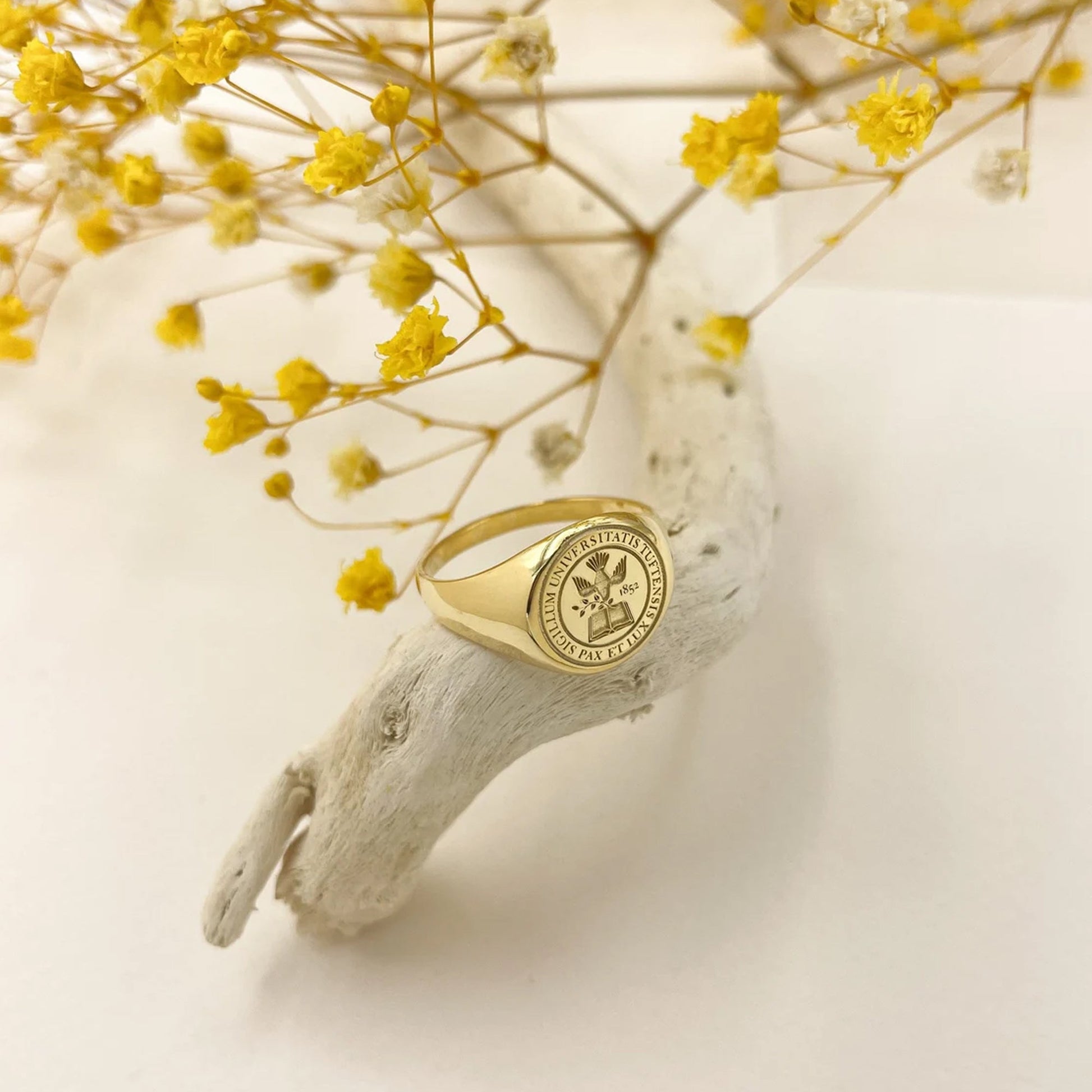 College Signet Ring Emblem Silver - Dainty Personalized Jewelry | Custom Necklaces & Gifts