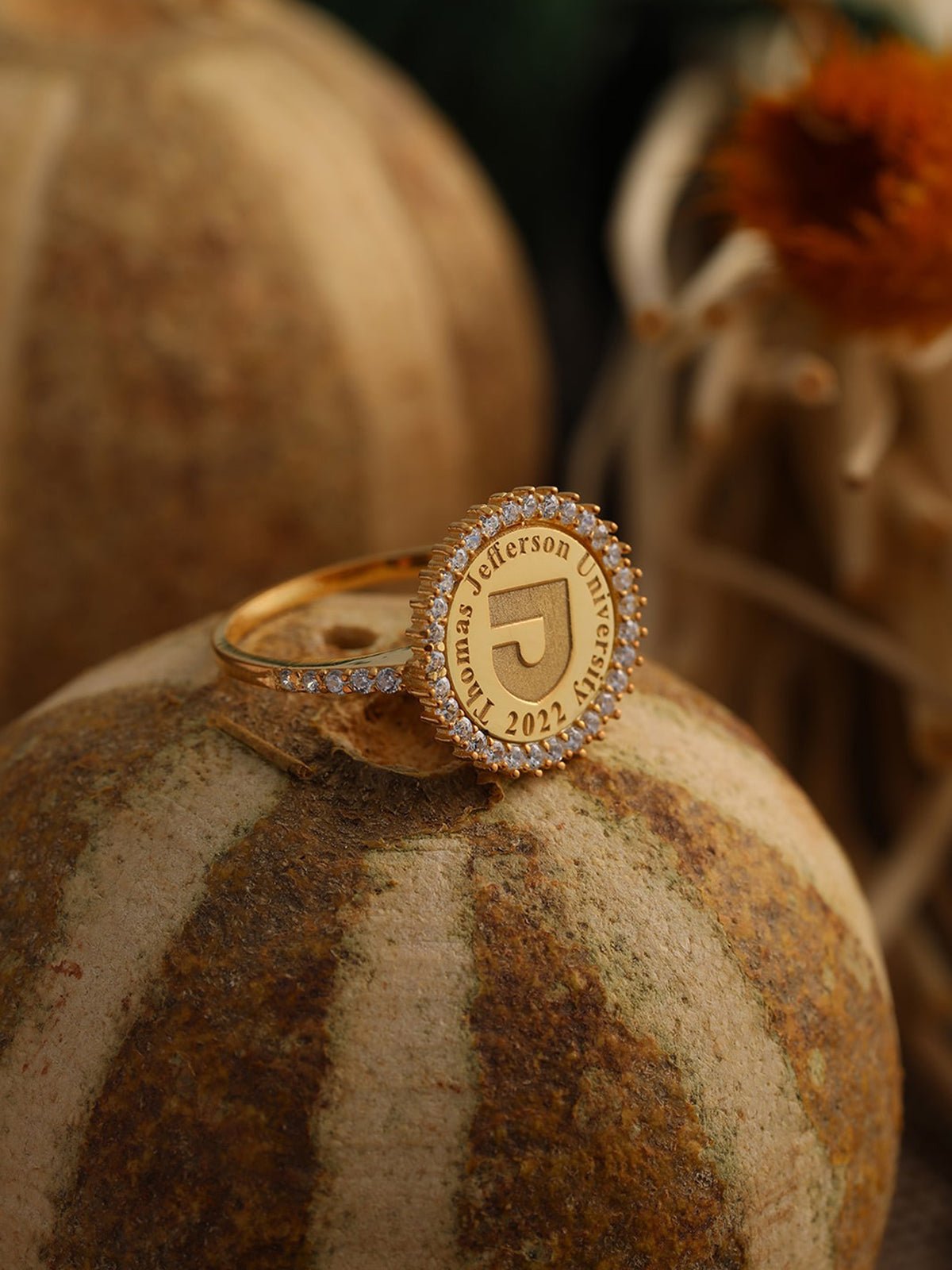 Custom Silver College Emblem Signet Ring - Dainty Personalized