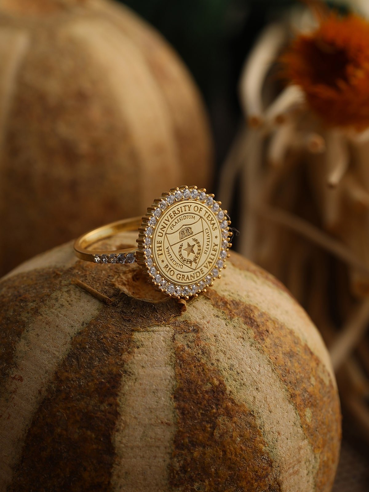 Custom Silver College Emblem Signet Ring - Dainty Personalized