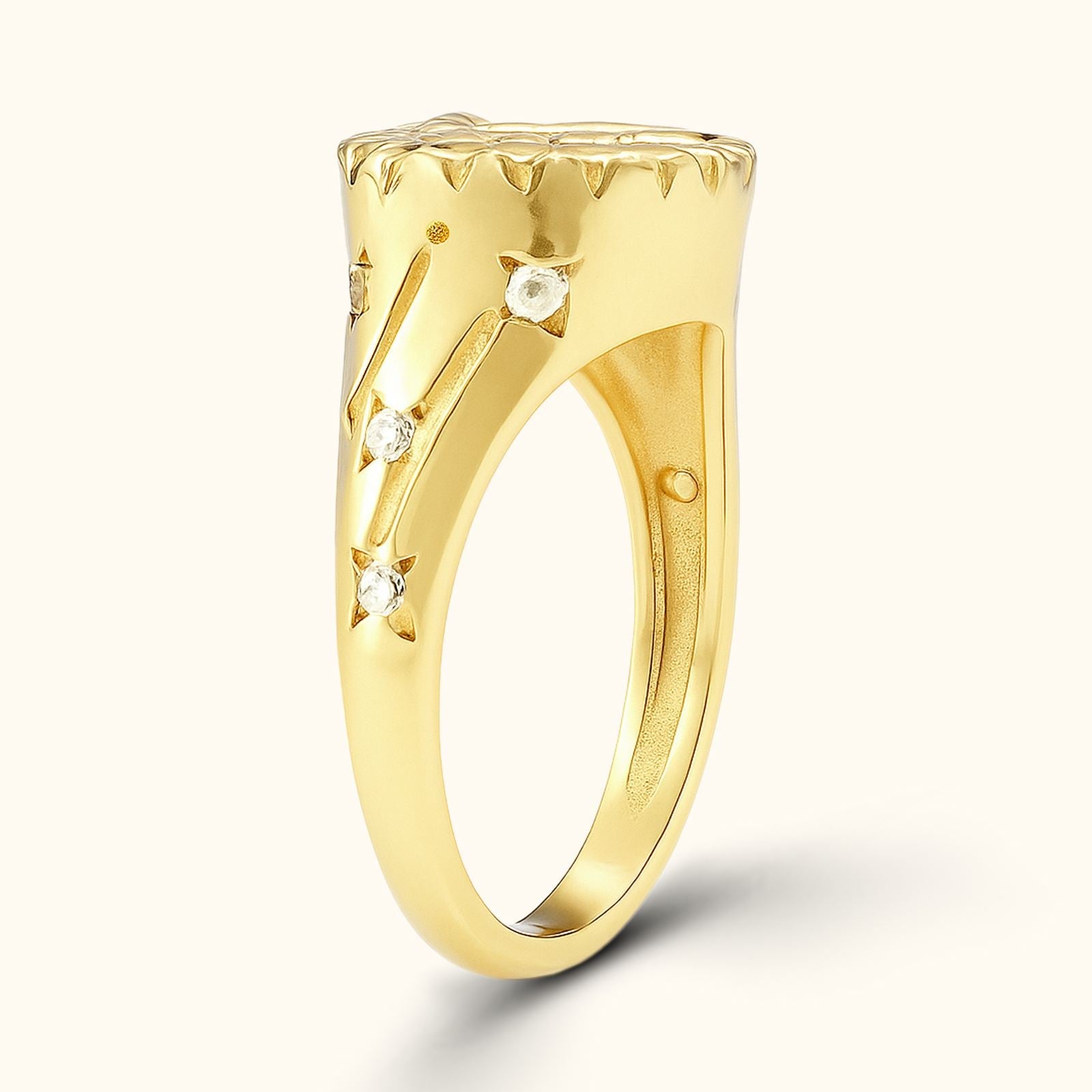 Personalized Zodiac Signet Ring for Astrology Lovers - Dainty Personalized